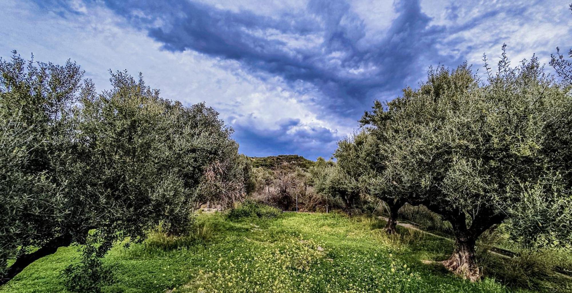 Your Spot West Peloponnese Shared Countryhouse Захаро Экстерьер фото